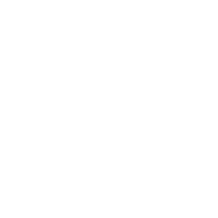 lions cheerleader